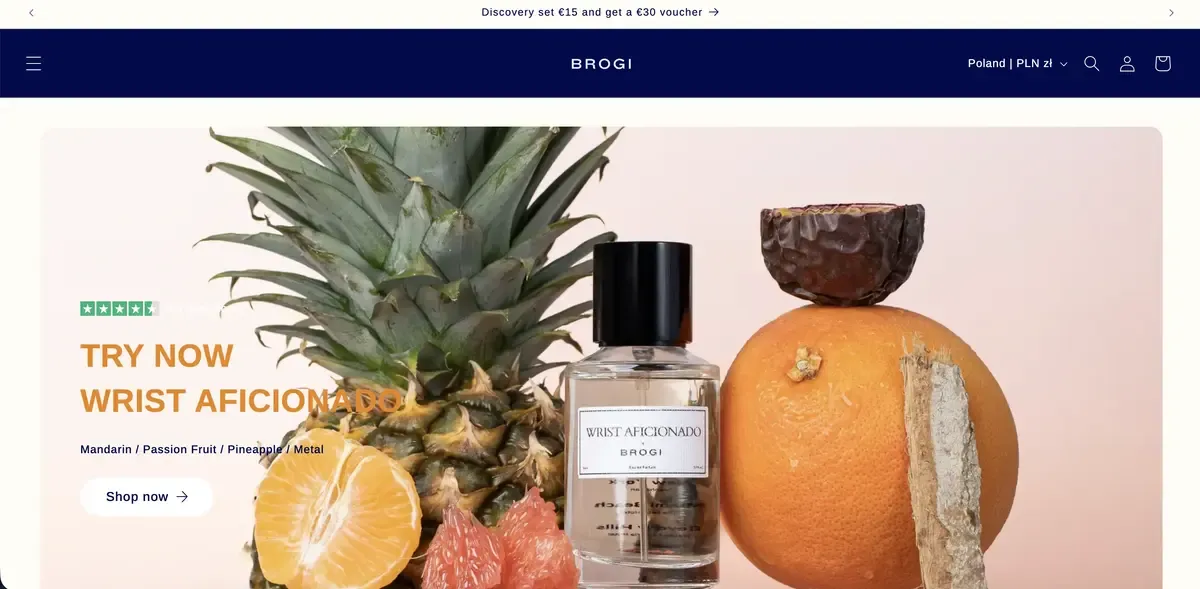 Brogi website screenshot